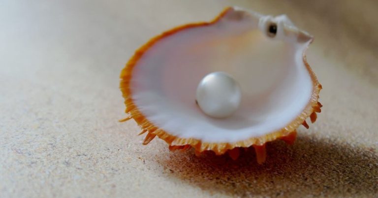 Do Real Pearls Turn Yellow? (Answered)