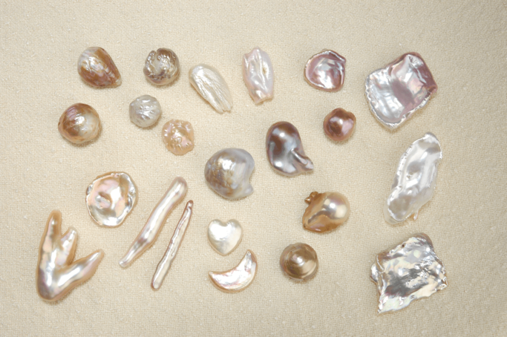 Natural Pearls or Different Size and Shapes in Clams and Oysters