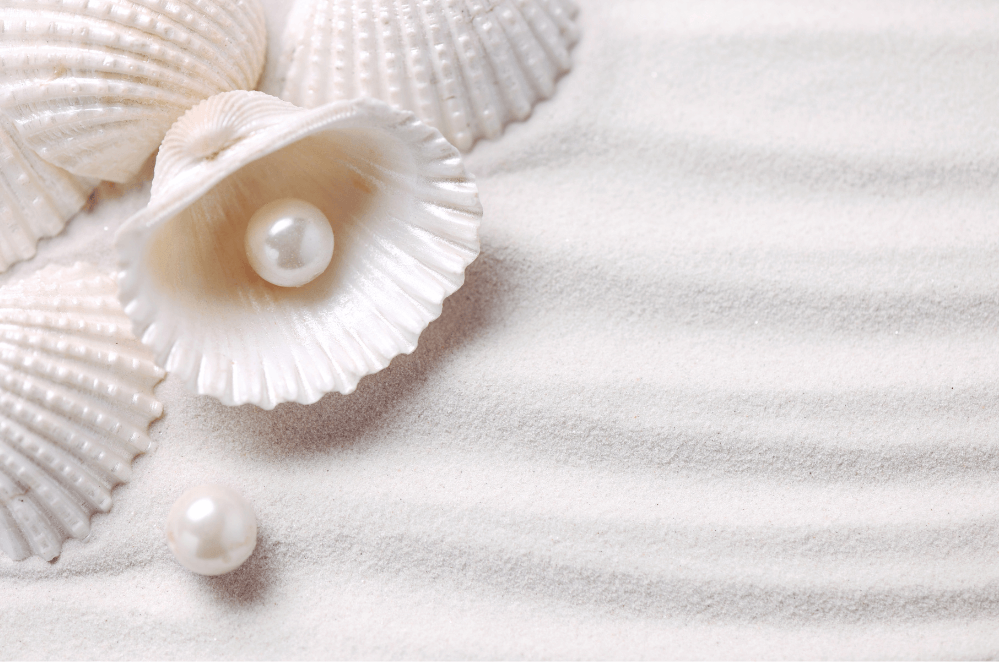 Pearl Clam Sand